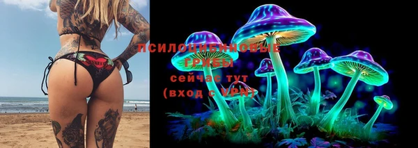 крисы Беломорск