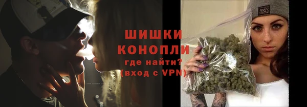 ПСИЛОЦИБИНОВЫЕ ГРИБЫ Белоозёрский