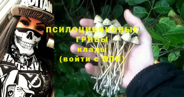 кокаин перу Белокуриха