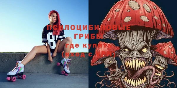 крисы Беломорск