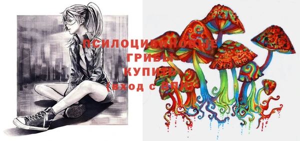 ПСИЛОЦИБИНОВЫЕ ГРИБЫ Белоозёрский