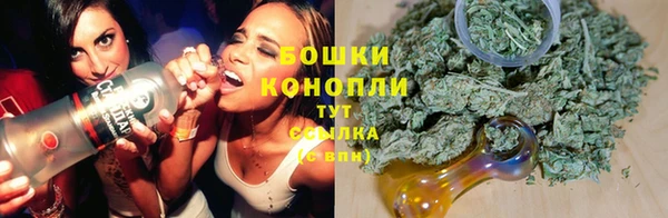 ПСИЛОЦИБИНОВЫЕ ГРИБЫ Белоозёрский